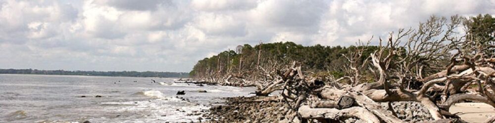 Account, Here Are Money Moves