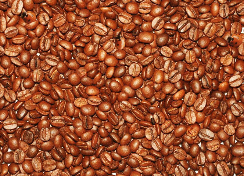 All Myths, No Truth: Three Coffee Myths It’s Time to Stop Believing