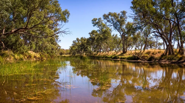 Older Than Dinosaurs: What Is the World’s Oldest River?